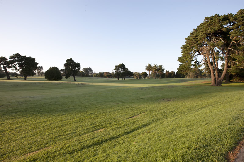 On Site Chamberlain Park Golf Course Mt Albert Auckland