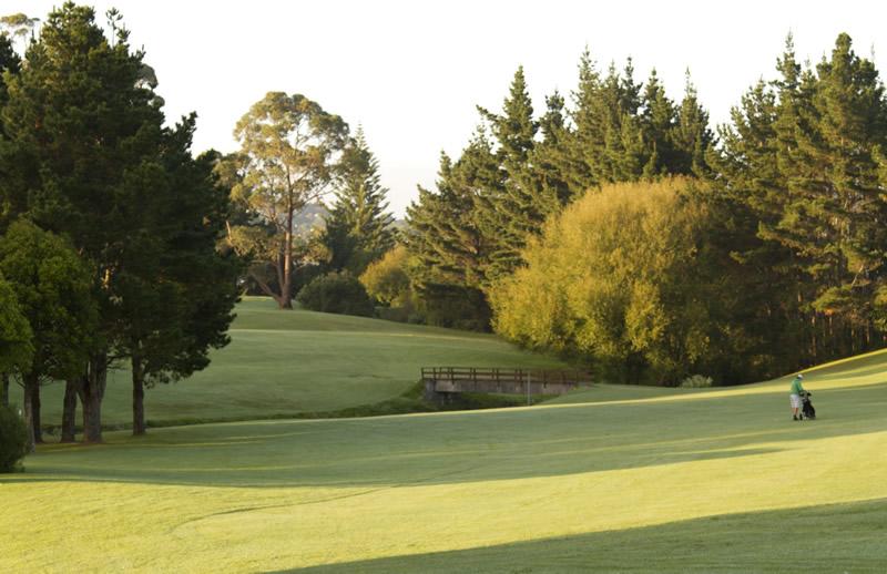 On Site Chamberlain Park Golf Course Mt Albert Auckland